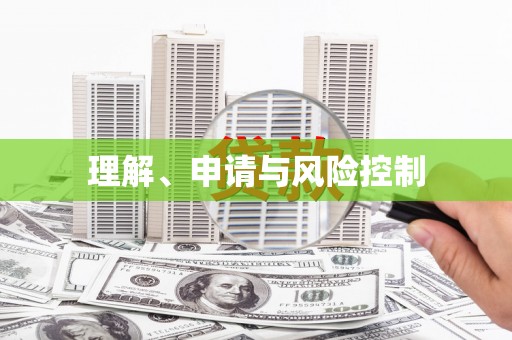 双牌理解、申请与风险控制