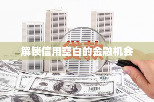 双牌解锁信用空白的金融机会