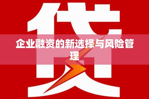 双牌企业融资的新选择与风险管理