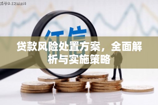 双牌贷款风险处置方案，全面解析与实施策略