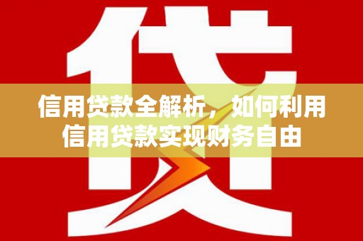 双牌信用贷款全解析，如何利用信用贷款实现财务自由