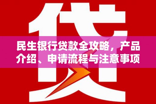 双牌民生银行贷款全攻略，产品介绍、申请流程与注意事项
